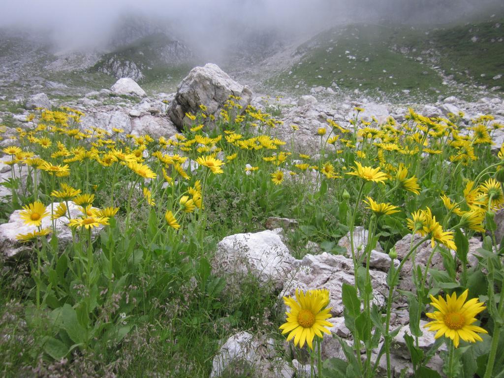 Willa Bezgova Hisica Bovec Zewnętrze zdjęcie