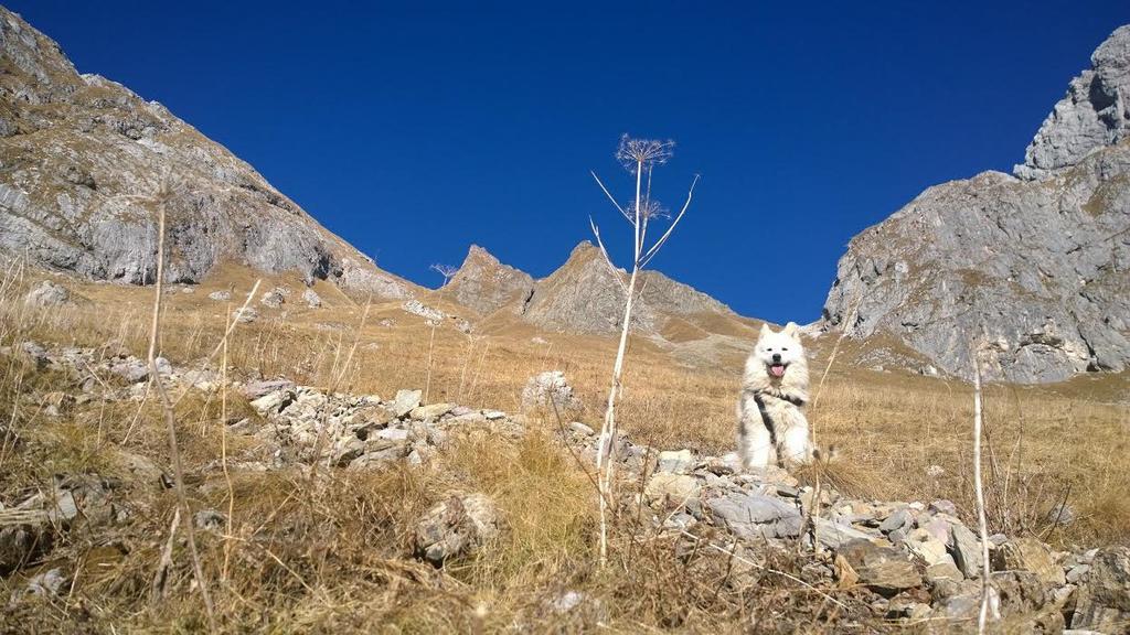 Willa Bezgova Hisica Bovec Zewnętrze zdjęcie