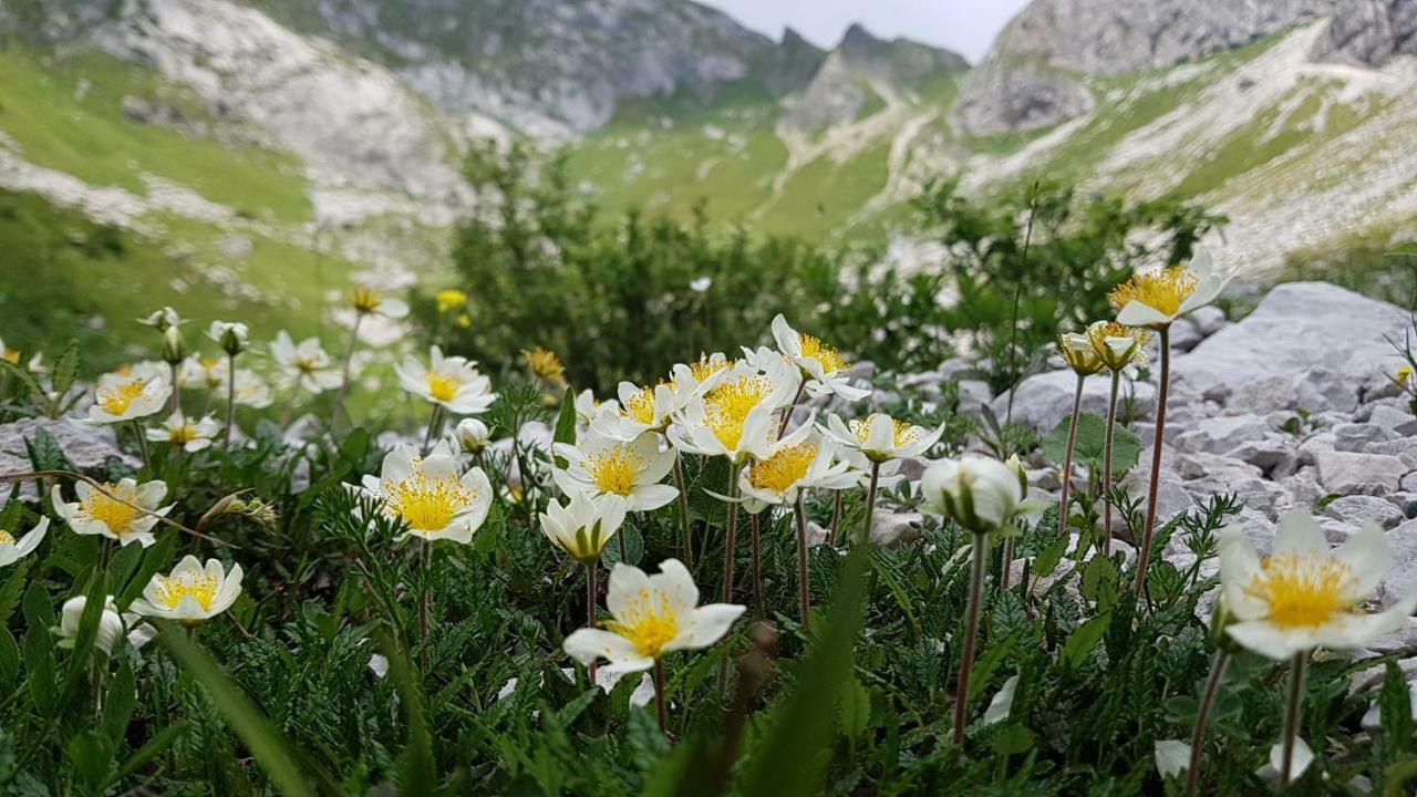 Willa Bezgova Hisica Bovec Zewnętrze zdjęcie